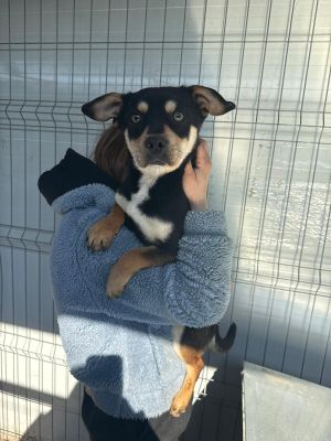 WhatsApp Image 2026 02 27 at 12.20.15 (3)