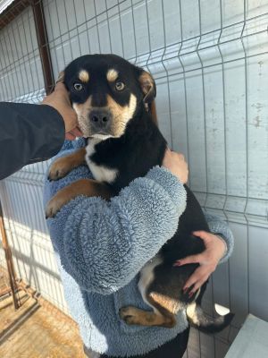 WhatsApp Image 2026 02 27 at 12.20.16 (1)