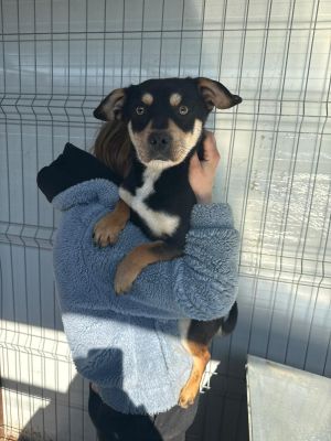 WhatsApp Image 2026 02 27 at 12.20.16