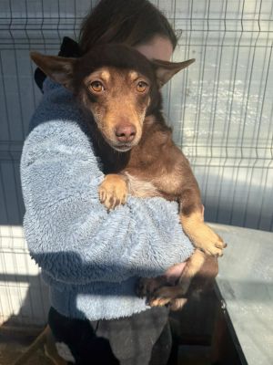 WhatsApp Image 2026 02 27 at 12.24.58