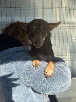 WhatsApp Image 2026 02 27 at 12.24.59