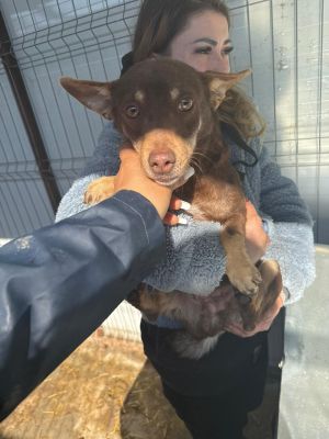 WhatsApp Image 2026 02 27 at 12.25.00 (1)