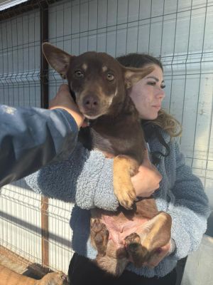 WhatsApp Image 2026 02 27 at 12.25.00