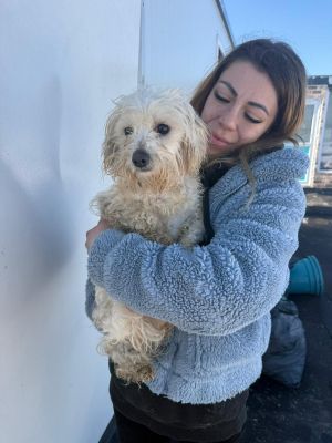 WhatsApp Image 2026 02 27 at 12.42.52 (1)