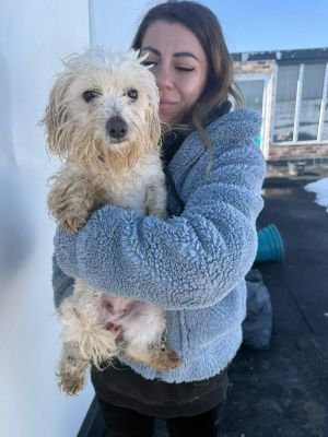 WhatsApp Image 2026 02 27 at 12.42.52