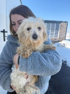 WhatsApp Image 2026 02 27 at 12.42.53 (1)