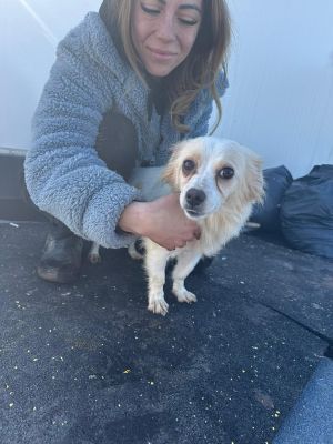 WhatsApp Image 2026 02 27 at 12.45.48 (1)