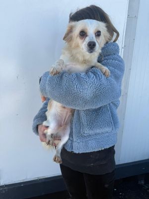 WhatsApp Image 2026 02 27 at 12.45.51