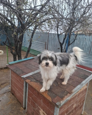 WhatsApp Image 2026 03 29 at 19.17.30 (1)