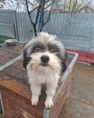 WhatsApp Image 2026 03 29 at 19.17.30 (2)