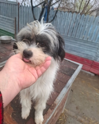 WhatsApp Image 2026 03 29 at 19.17.30 (3)