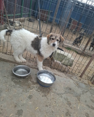 WhatsApp Image 2026 03 29 at 19.17.47 (1)