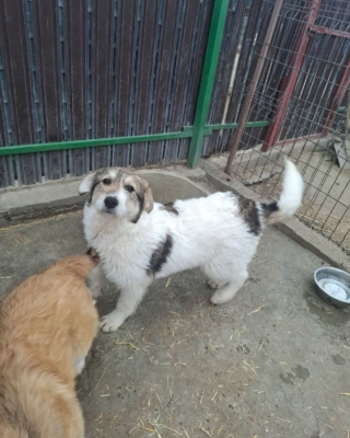 WhatsApp Image 2026 03 29 at 19.17.47 (2)