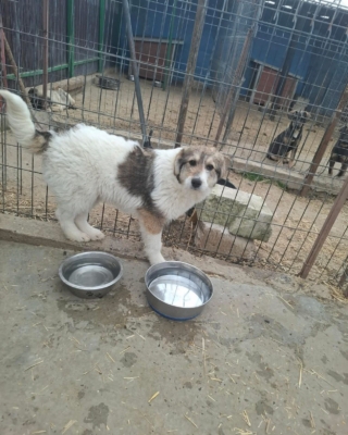 WhatsApp Image 2026 03 29 at 19.17.47 (3)