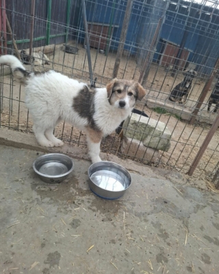 WhatsApp Image 2026 03 29 at 19.17.47