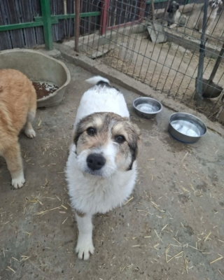 WhatsApp Image 2026 03 29 at 19.17.47 (4)