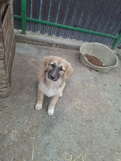 WhatsApp Image 2026 03 29 at 19.17.53