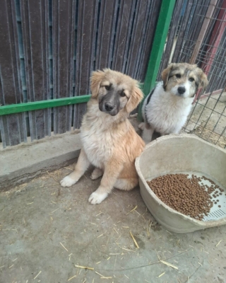 WhatsApp Image 2026 03 29 at 19.17.54 (1)