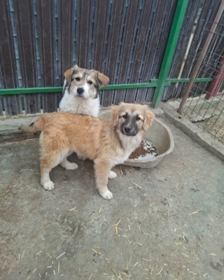 WhatsApp Image 2026 03 29 at 19.17.55 (1)