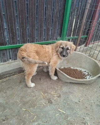 WhatsApp Image 2026 03 29 at 19.17.55 (3)