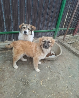 WhatsApp Image 2026 03 29 at 19.17.55