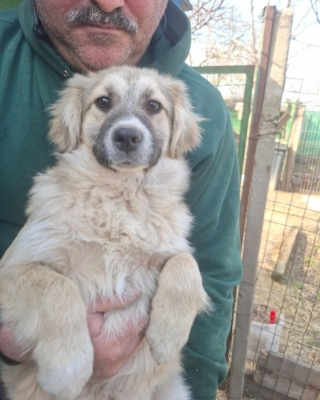 WhatsApp Image 2026 04 02 at 08.41.52 (1)