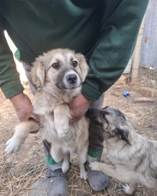 WhatsApp Image 2026 04 02 at 08.41.52 (2)