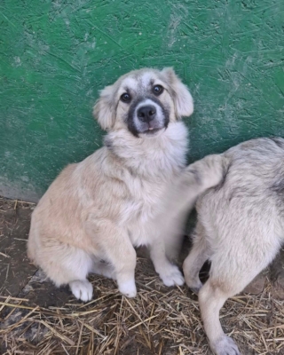 WhatsApp Image 2026 04 02 at 08.41.52 (3)