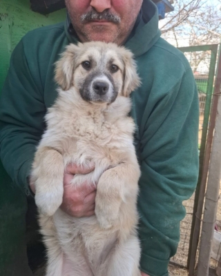 WhatsApp Image 2026 04 02 at 08.41.52 (4)