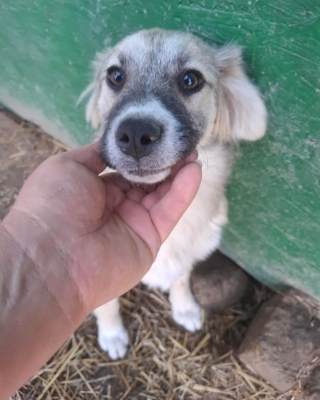 WhatsApp Image 2026 04 02 at 08.41.52 (5)