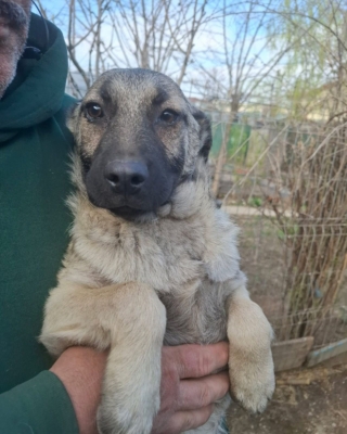 WhatsApp Image 2026 04 02 at 08.42.03 (1)