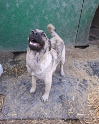 WhatsApp Image 2026 04 02 at 08.42.03 (2)