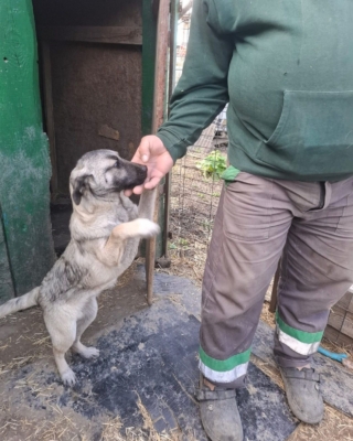 WhatsApp Image 2026 04 02 at 08.42.03 (3)