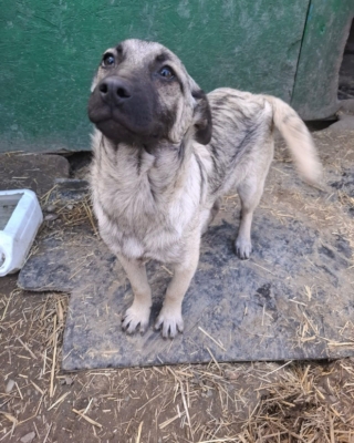 WhatsApp Image 2026 04 02 at 08.42.03