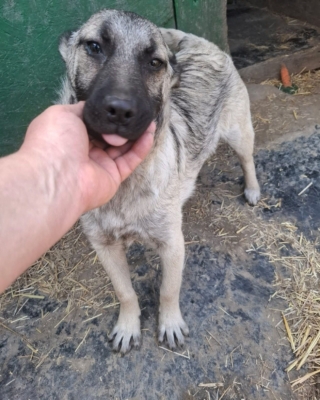 WhatsApp Image 2026 04 02 at 08.42.03 (5)