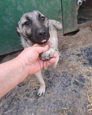 WhatsApp Image 2026 04 02 at 08.42.03 (6)