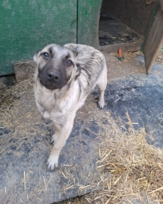 WhatsApp Image 2026 04 02 at 08.42.03 (7)