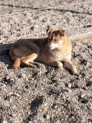 WhatsApp Image 2026 04 06 at 08.10.05 (1)