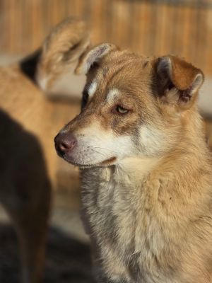 WhatsApp Image 2026 04 06 at 08.10.18