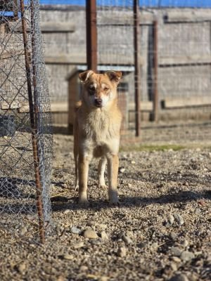 WhatsApp Image 2026 04 06 at 08.10.19 (1)