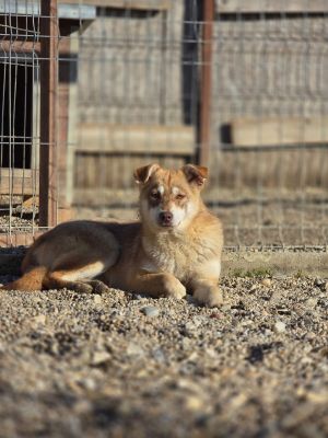 WhatsApp Image 2026 04 06 at 08.10.19