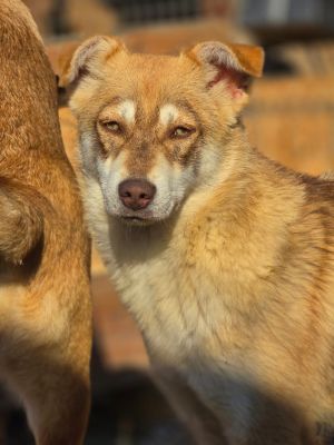 WhatsApp Image 2026 04 06 at 08.10.20 (2)