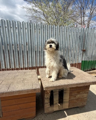 WhatsApp Image 2026 04 18 at 22.48.56 (1)