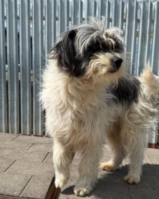 WhatsApp Image 2026 04 18 at 22.48.56 (2)