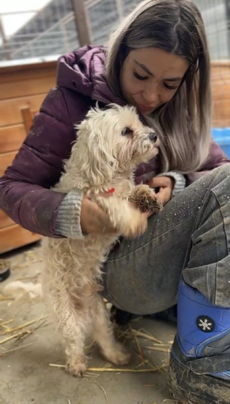 A482f982 f603 4560 86af 85de2bd76d29