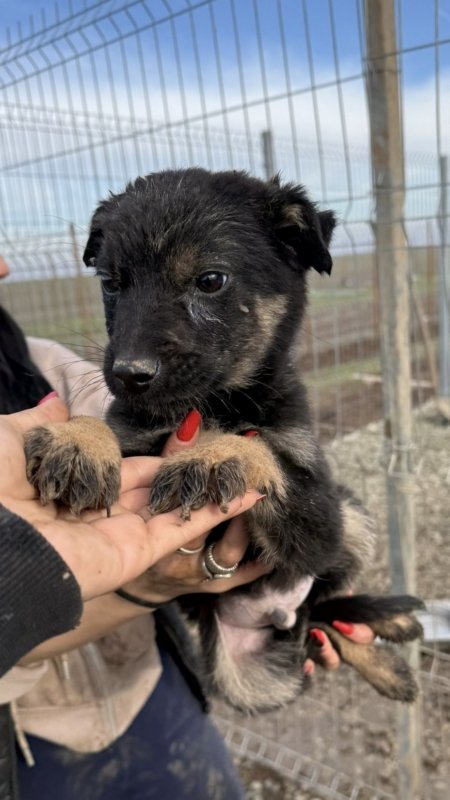 Aad7e1fd 565f 45db ba63 a429c1d39dc5