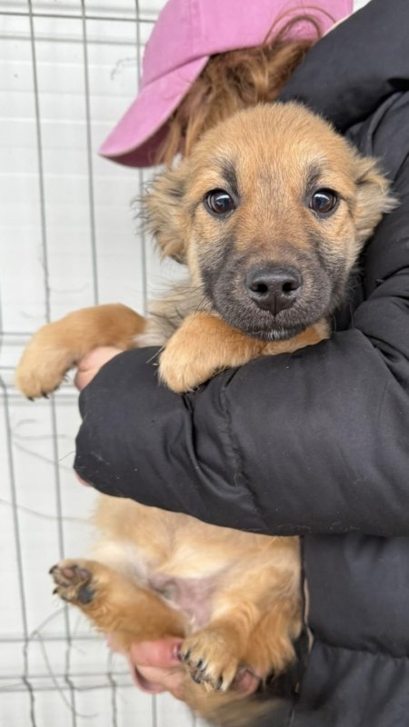 B84a3951 1df4 408e 97f5 34e88090daab