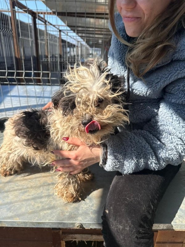 C16418a0 5a16 490c 9051 5cb7fab4a9fb