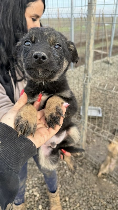 C21e51f0 a87a 4d13 8cd1 4ba8711a33b2