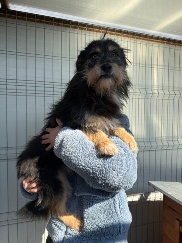 E14b9c35 f5f3 424e ace0 bc5c231271c5